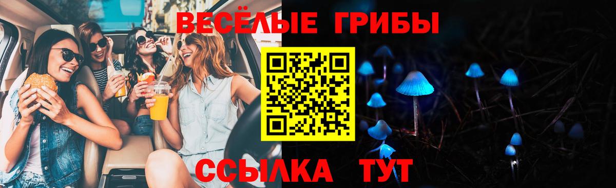 Псилоцибиновые грибы мухоморы Юрга